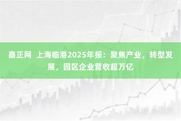 嘉正网  上海临港2025年报：聚焦产业，转型发展，园区企业营收超万亿